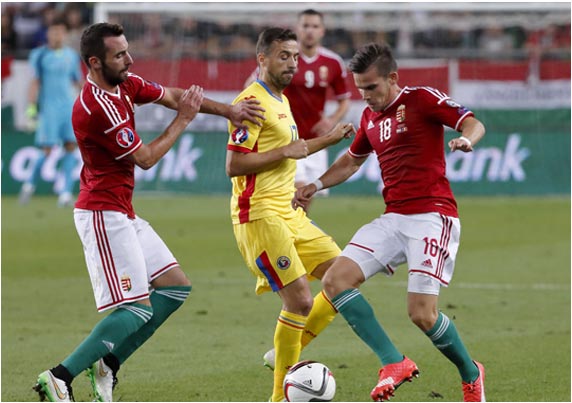 轰炸电话在线下单